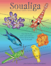 Soualiga Colors coloring book