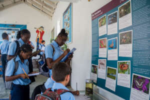 Students visit the Amuseum.