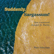 Suddenly, Sargassum!