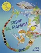 Super St. Martin!