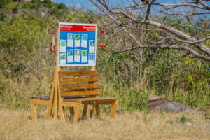 New outdoor exhibits add value in open spaces.