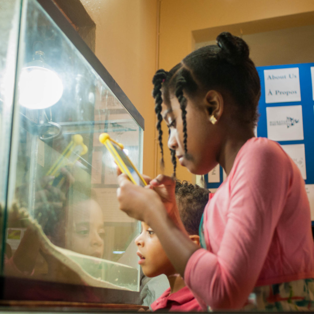 A museum to tell the story of St. Martin