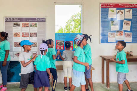 A museum to tell the story of St. Martin