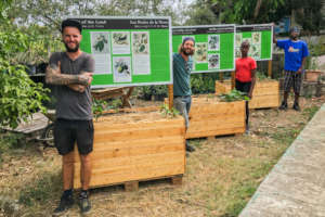 Signage mount planters from reclaimed materials.
