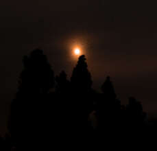 Rah-San Bailey - Covid Moon