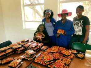 Tomatoes ready for sale