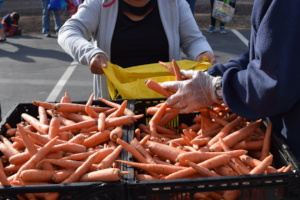 Produce Distribution at Fallbrook