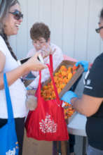 Berry Elementary Distribution