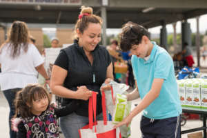 Willow Elementary Distribution