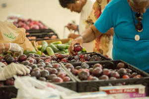 Feeding San Diego's Fresh Produce