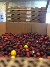 Plums