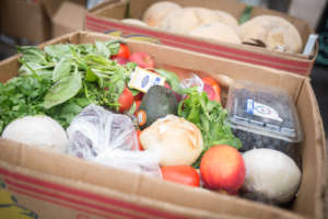 Produce Delivery