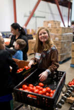 Volunteer