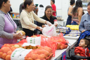 Volunteers