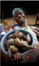 Women Economic Empowerment: Snail Farm in Ghana