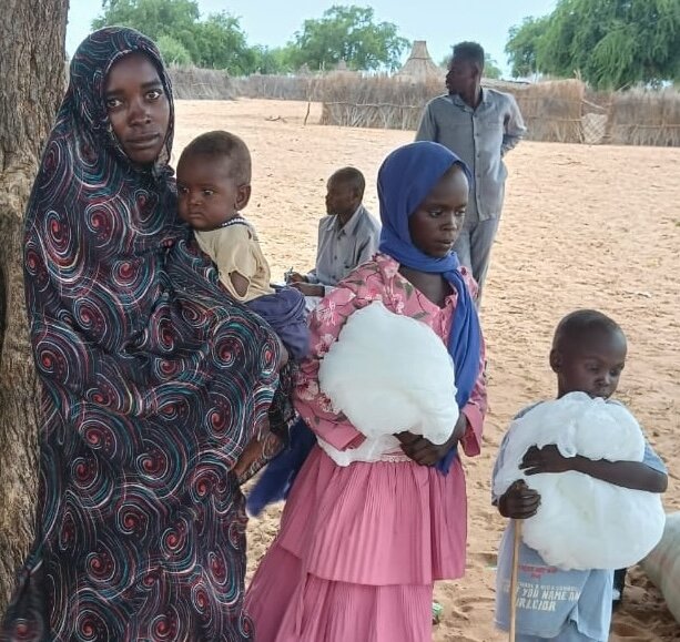 Essential Mosquito Nets for Families