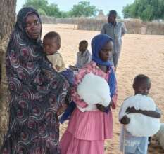 Essential Mosquito Nets for Families