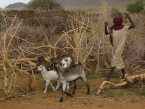 Please Can You Help Empower More Women in Darfur?