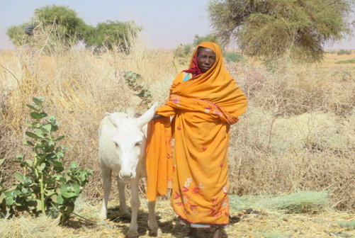 A Brighter Future for Mothers and Girls in Sudan