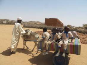 Women Save to Buy their Husbands Donkey Carts