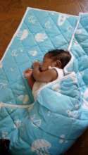 Two weeks old