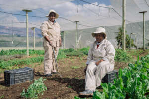 Young farm worker women who will receive the pads