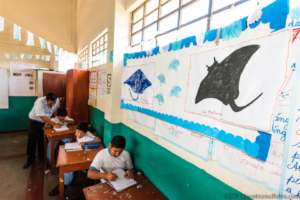 Classrooms showcase manta and marine conservation