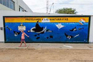 Manta ray mural in local fishing community