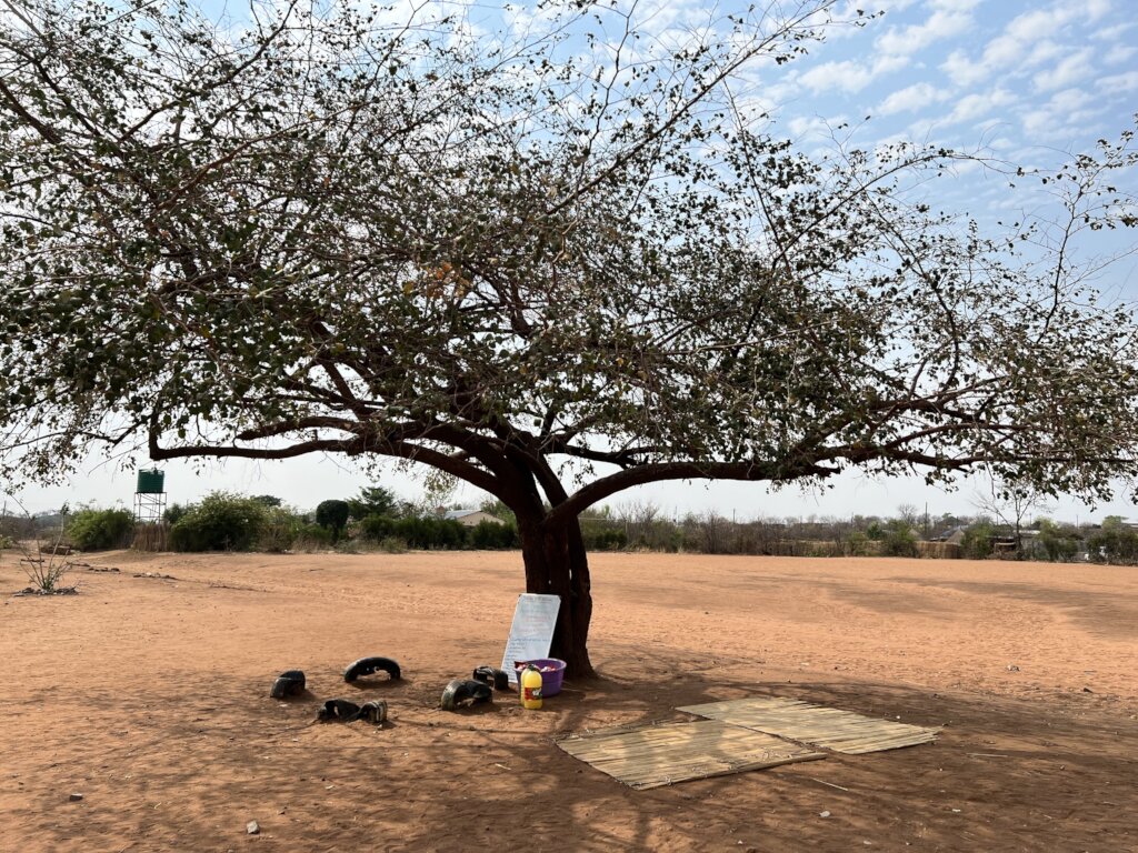 Tree classroom