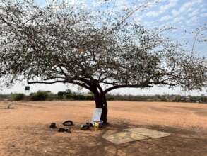 Tree classroom