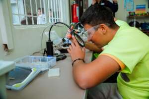Students learning