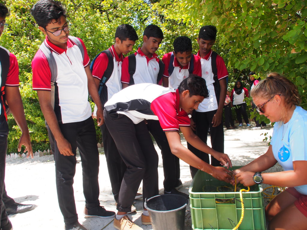 Rehabilitating coral reefs damaged by bleaching