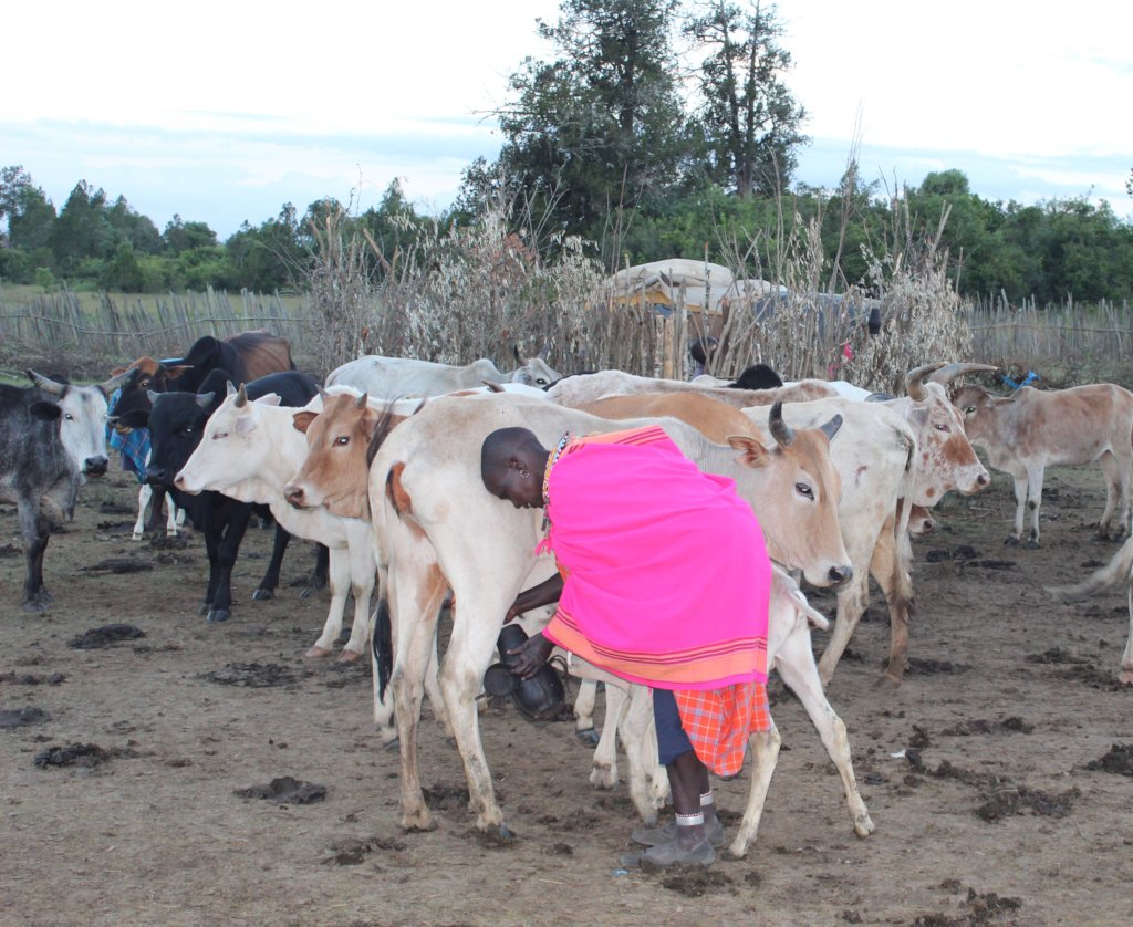 Launch 150 Startup Youth Businesses in Kibra Slum