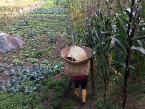 The beautiful agricultural life in Sayausi