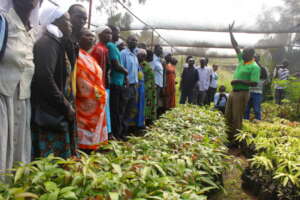 Farmers field day on best practices in fruit tree