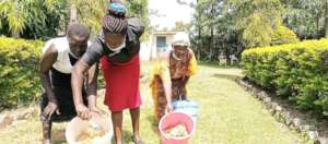 Farmers with buckets of honey for processing