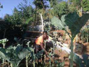 Pamela Tendering her tower garden farm