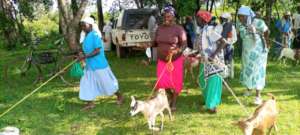 Widows gifted with goats