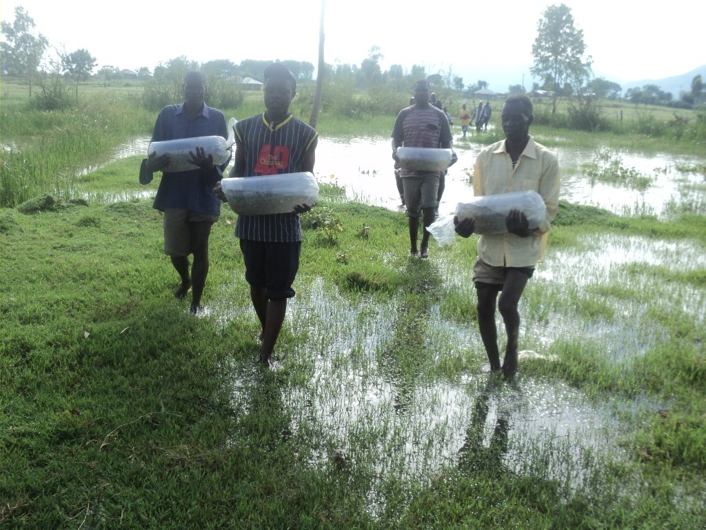 Enable 1500 Kenyan Rural Farmers for Agribusiness