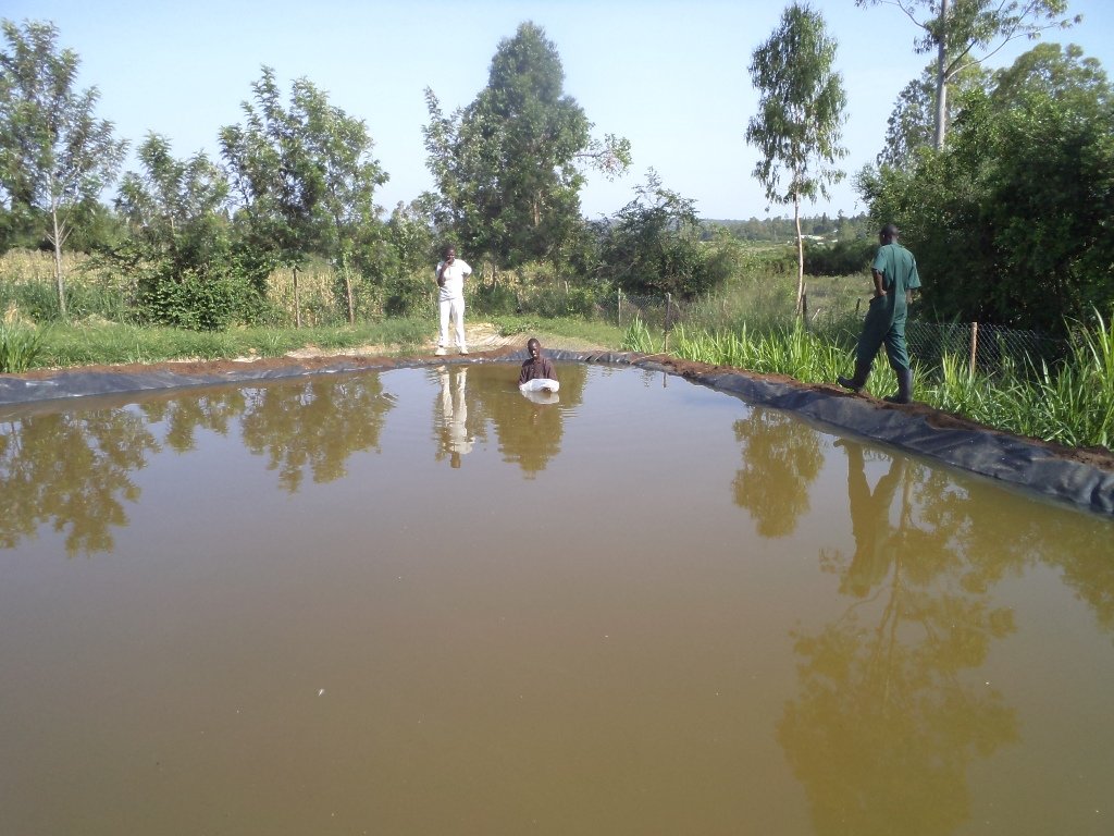 Enable 1500 Kenyan Rural Farmers for Agribusiness