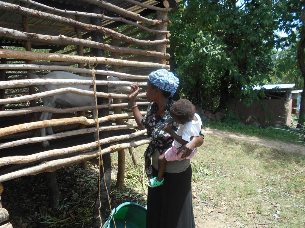 Enable 1500 Kenyan Rural Farmers for Agribusiness