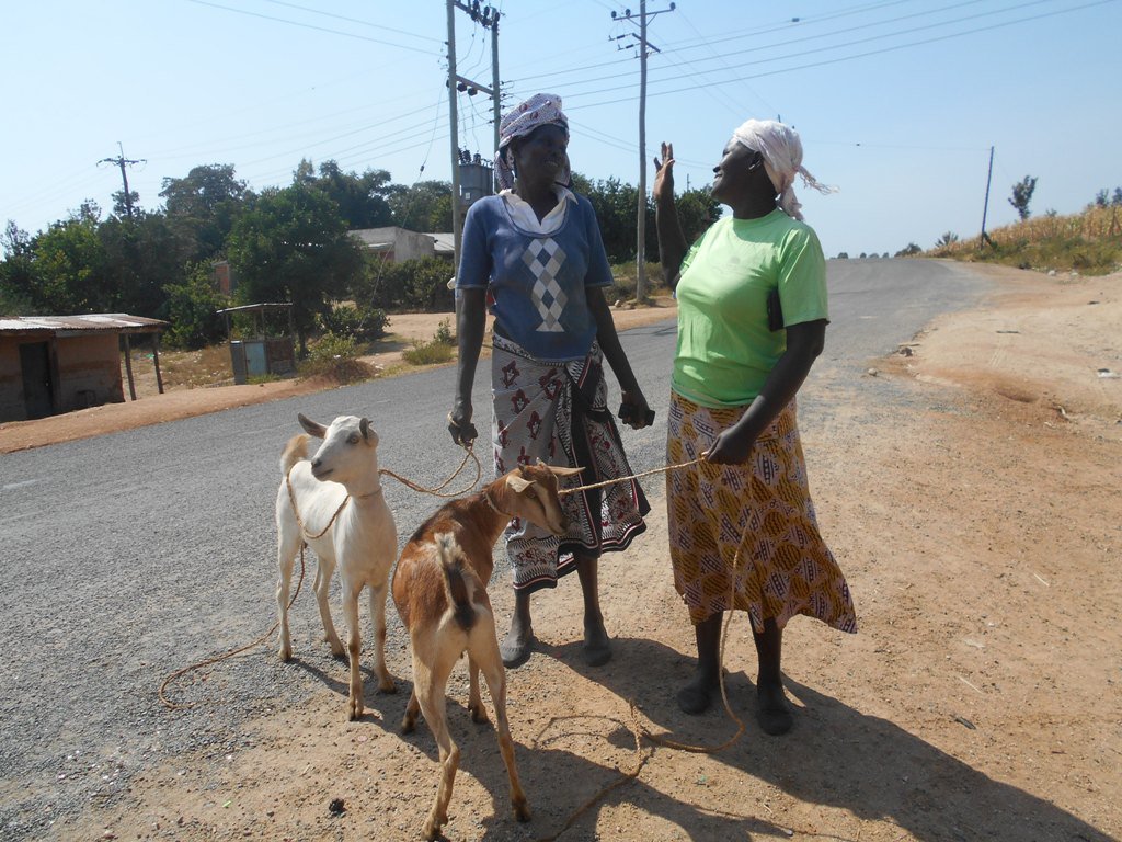 Enable 1500 Kenyan Rural Farmers for Agribusiness