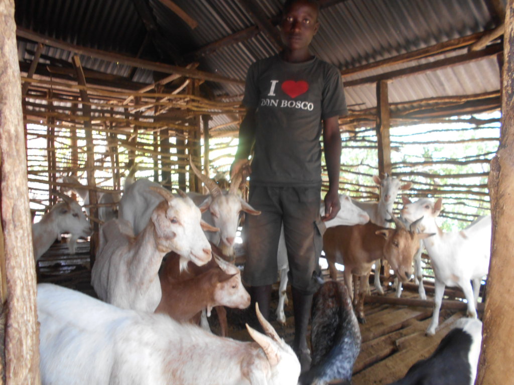 Enable 1500 Kenyan Rural Farmers for Agribusiness