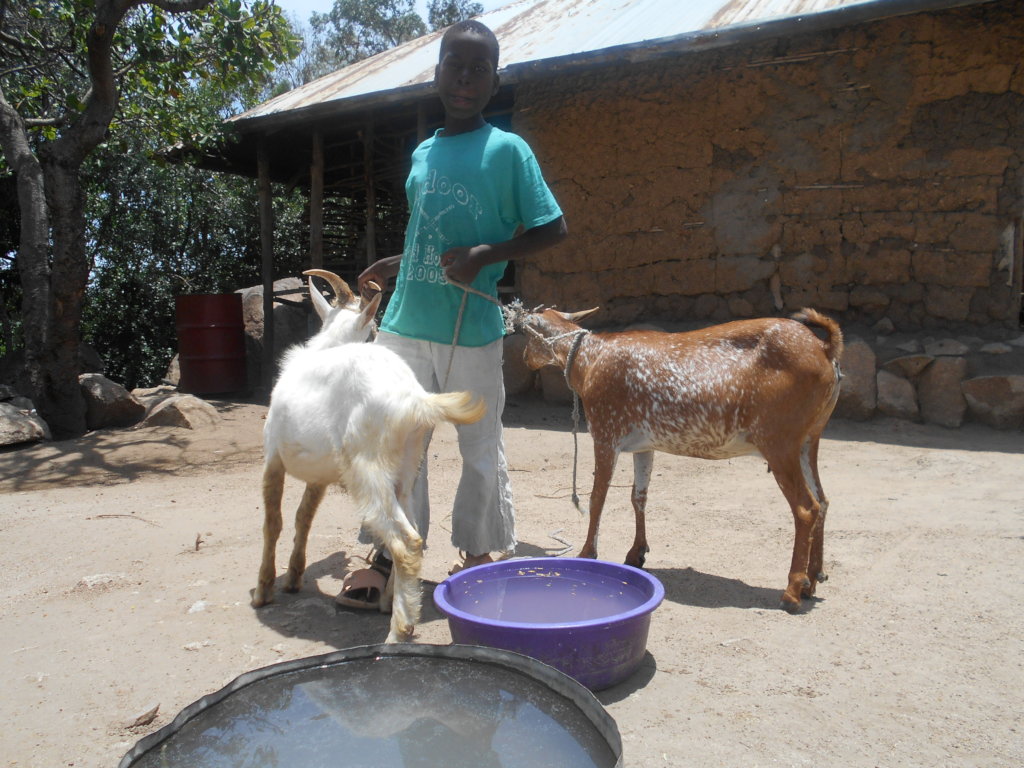 Enable 1500 Kenyan Rural Farmers for Agribusiness