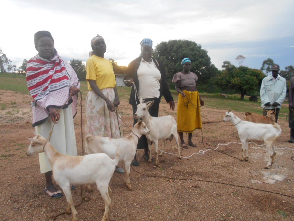 Enable 1500 Kenyan Rural Farmers for Agribusiness