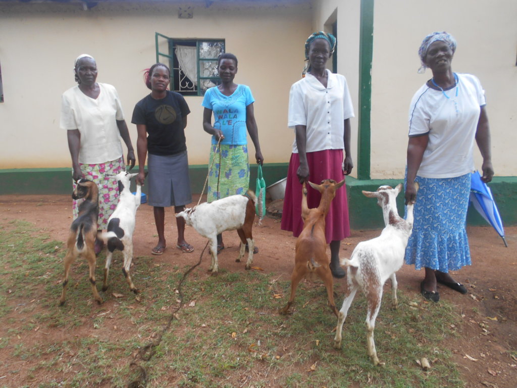 Enable 1500 Kenyan Rural Farmers for Agribusiness