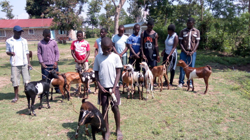 Enable 1500 Kenyan Rural Farmers for Agribusiness