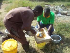 Bee farming