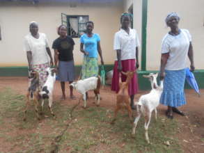 Goat Farming