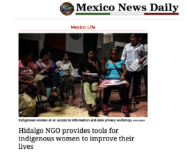 PSYDEH as human interest story_Mexico News Daily